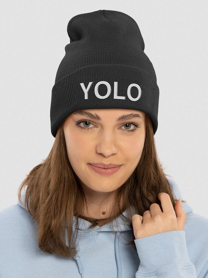 YOLO Beanie product image (1)