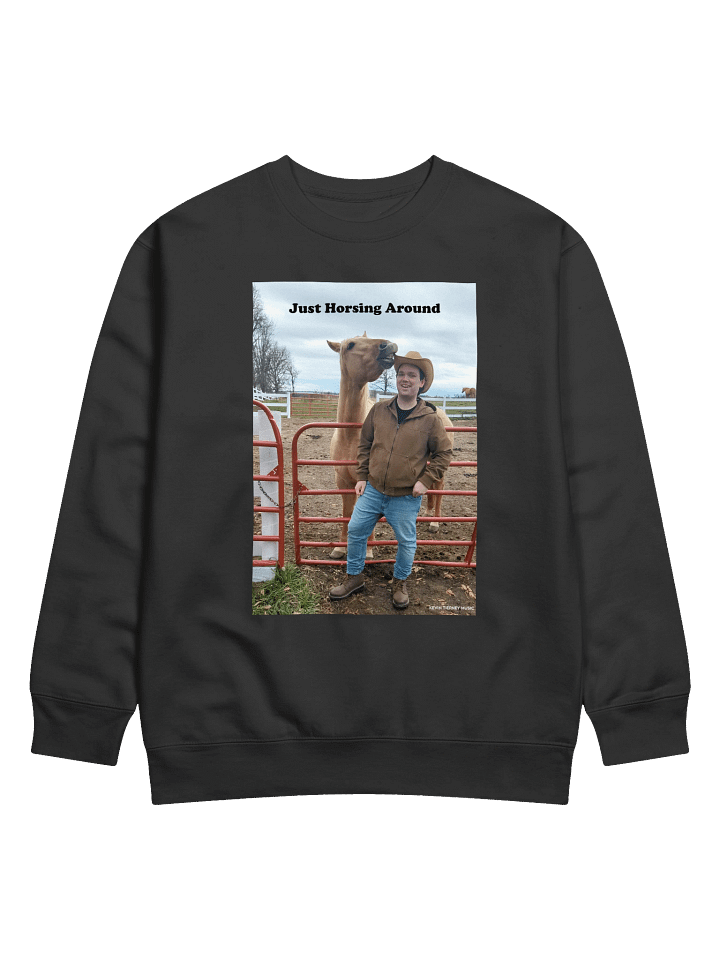 Just Horsing Around Sweatshirt product image (1)
