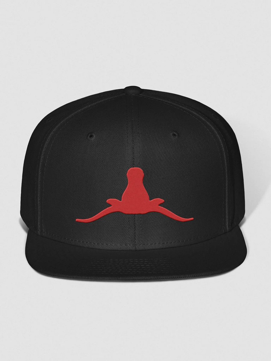 Horns Down Wool Blend Snapback Cap product image (4)