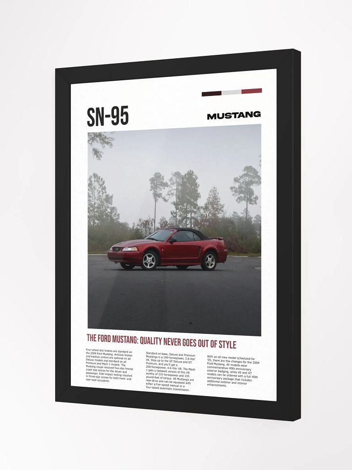 SN-95 framed poster product image (2)