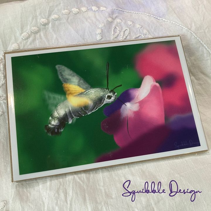 Mini Print - Hummingbird Hawk-moth product image (1)