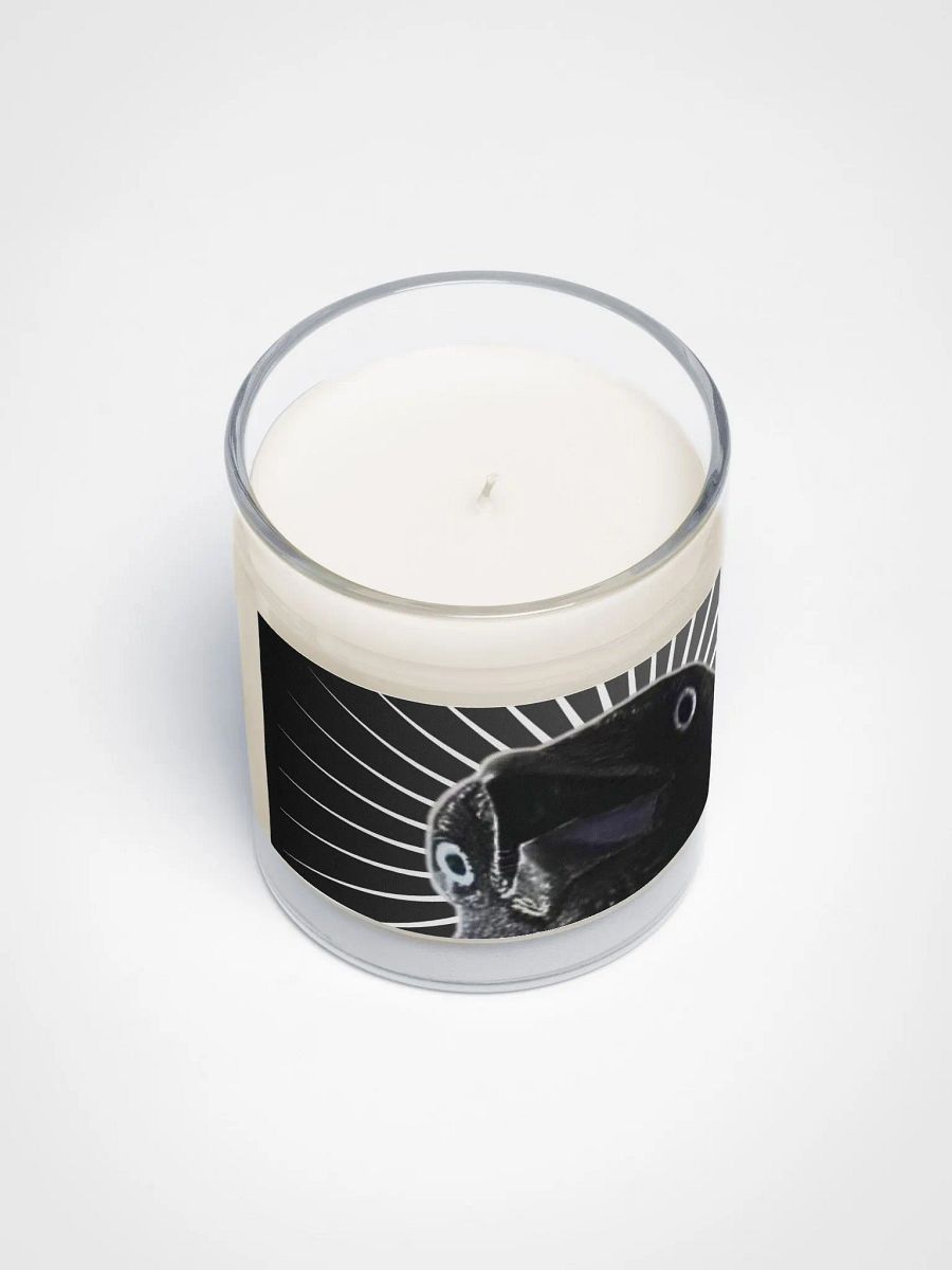 St. Thaddeus candle, the Light in the Darkness 🙏 product image (3)
