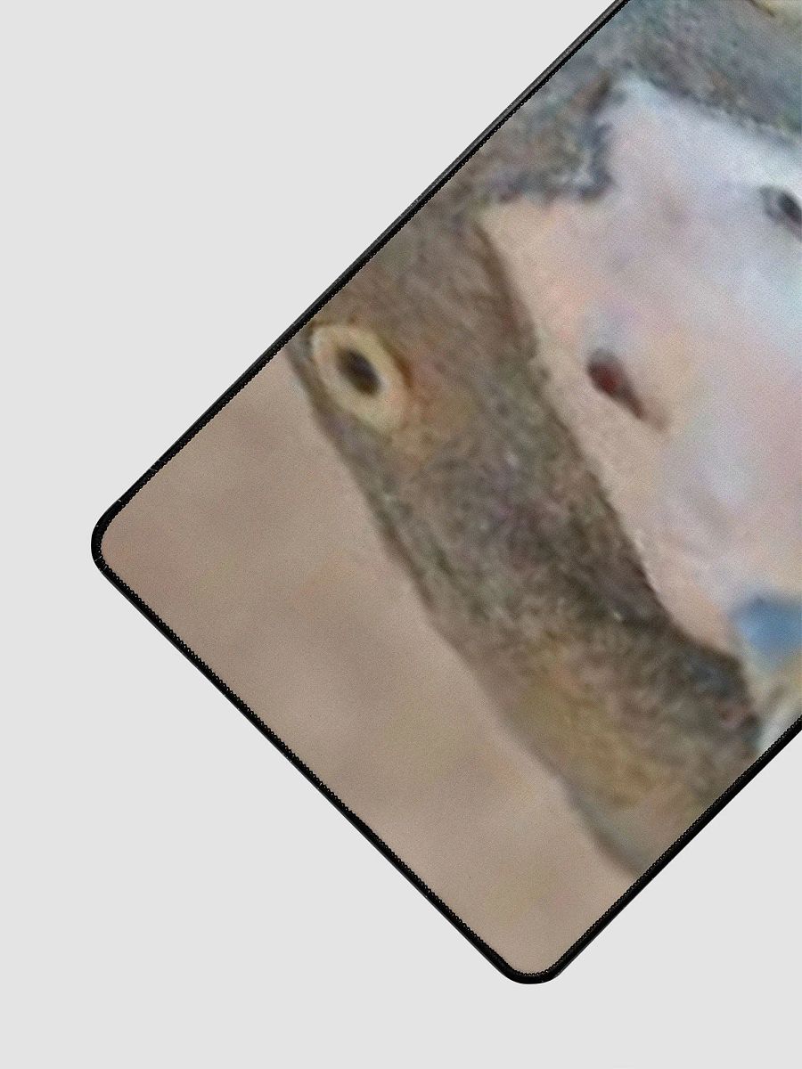 Duck Stare product image (3)
