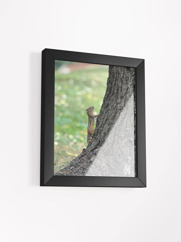 Squirrel print product image (9)