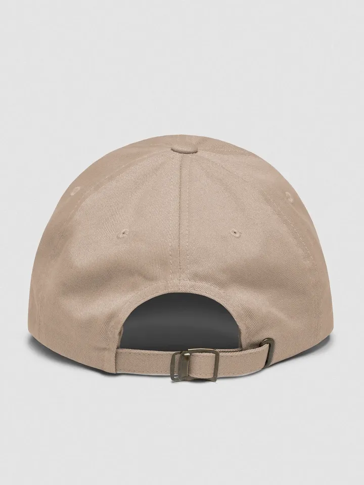 Red Book Dad Hat product image (2)
