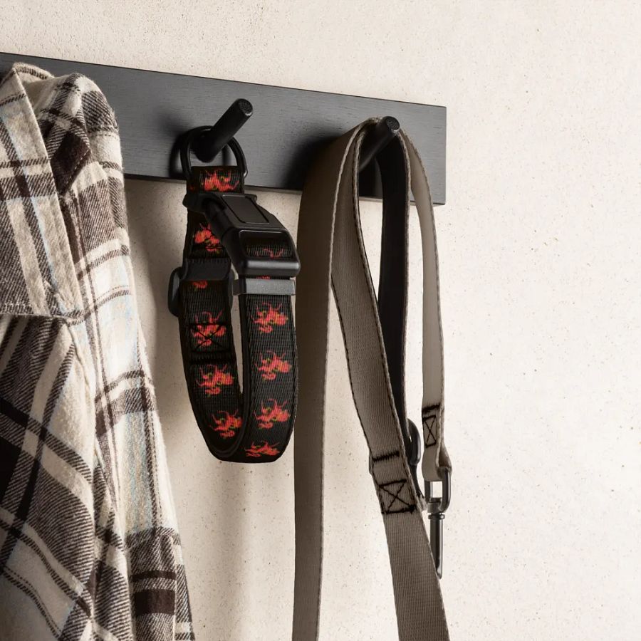 Sanguine Horse Dog Collar 🇺🇸 product image (4)