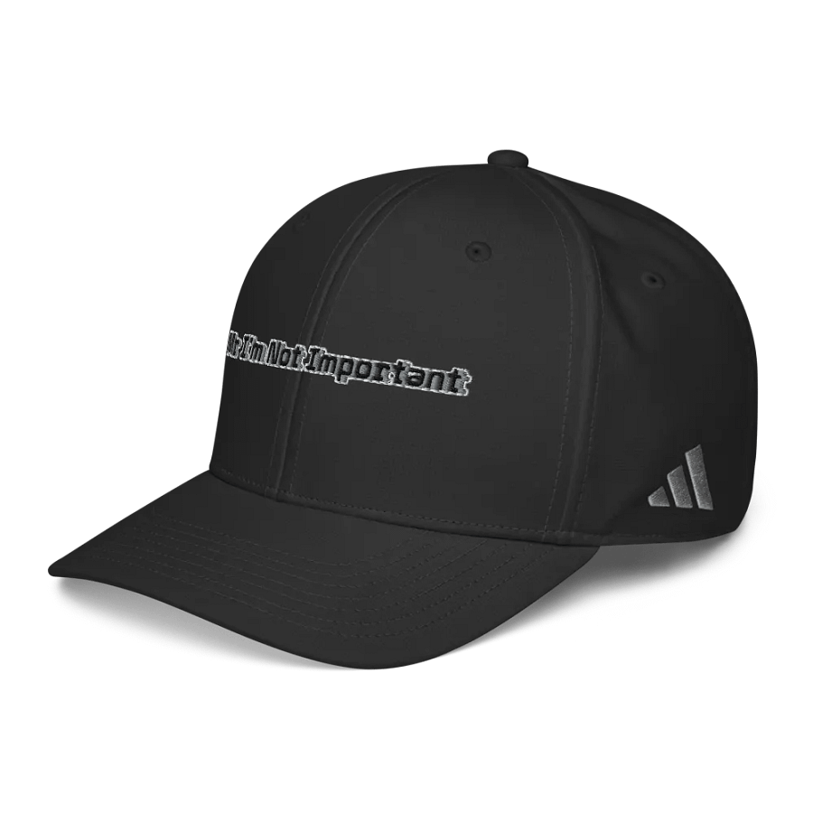 Performance Cap - Embroidered - Mr I'm Not Important product image (2)