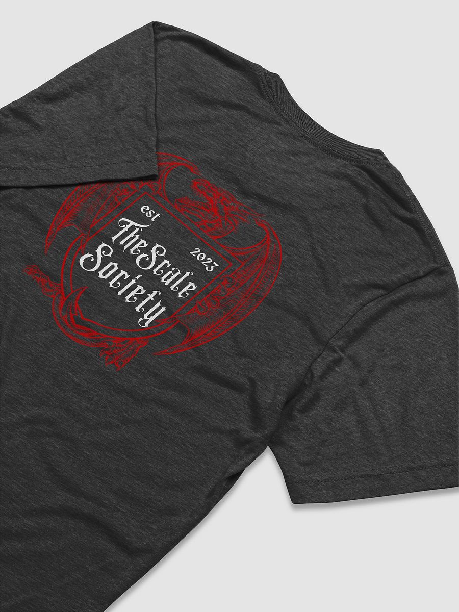Here For The Dragons Scale Society Triblend T Shirt product image (4)