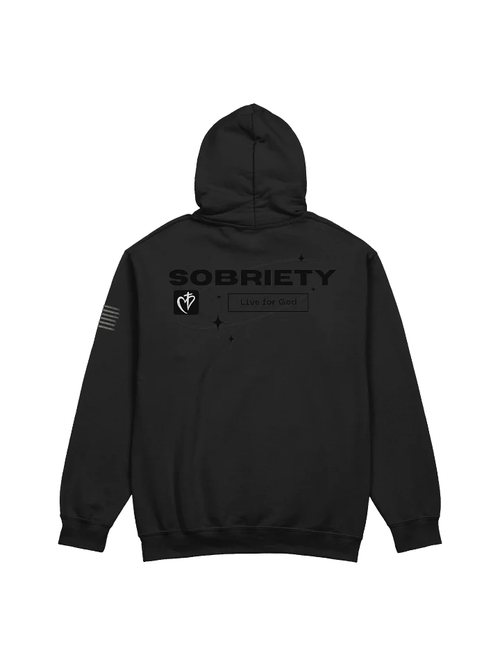 SoberGarageCo Gildan Sobriety Hoodie product image (15)