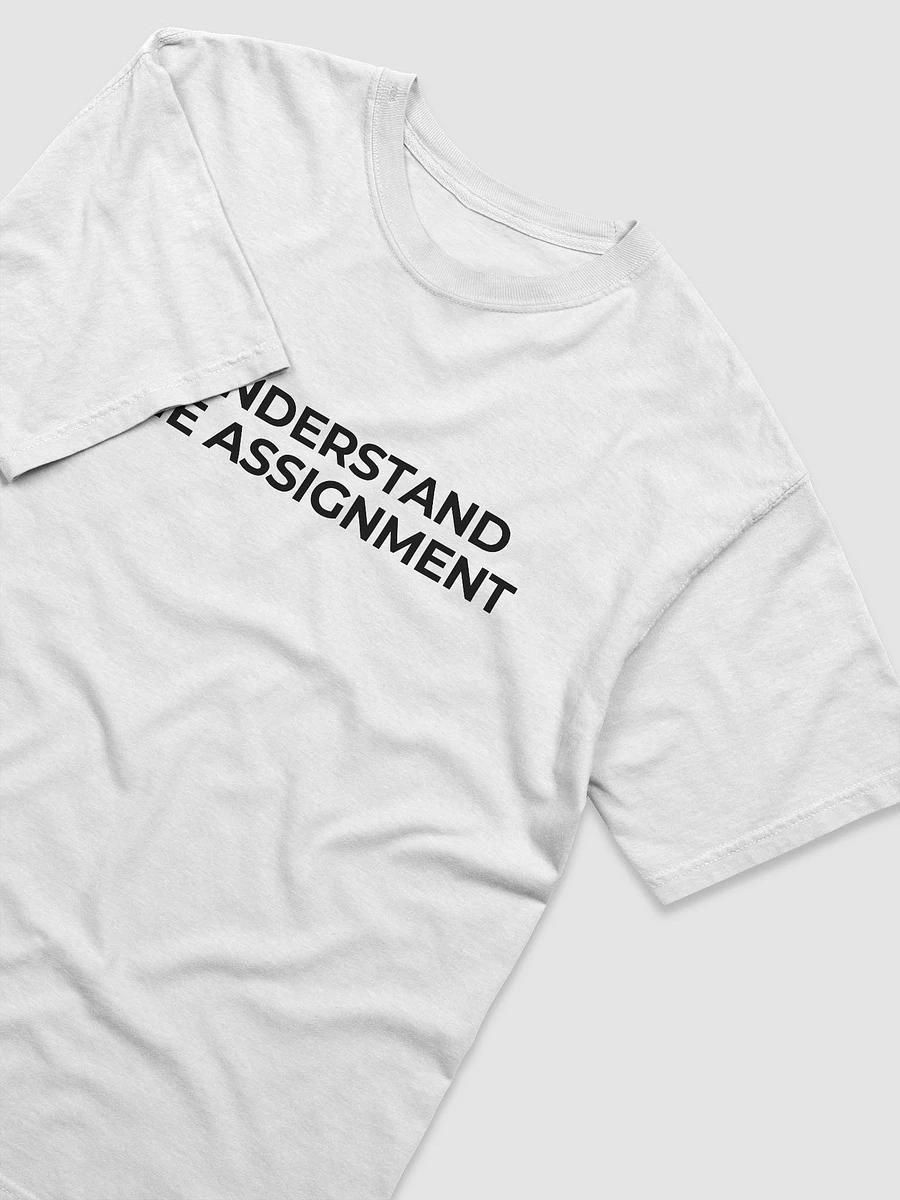 I Understand The Assignment - T-Shirt product image (4)