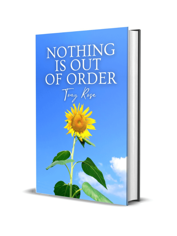 Nothing Is Out Of Order product image (1)