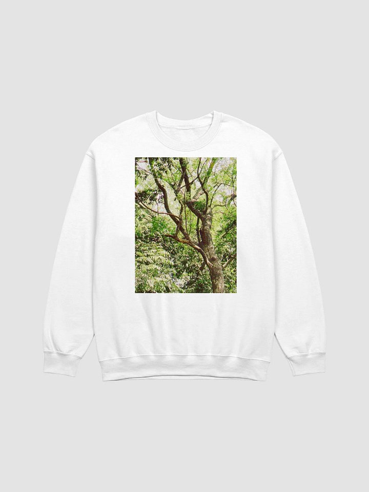 Earth tone DIVINE MUSIC sweatshirt product image (1)