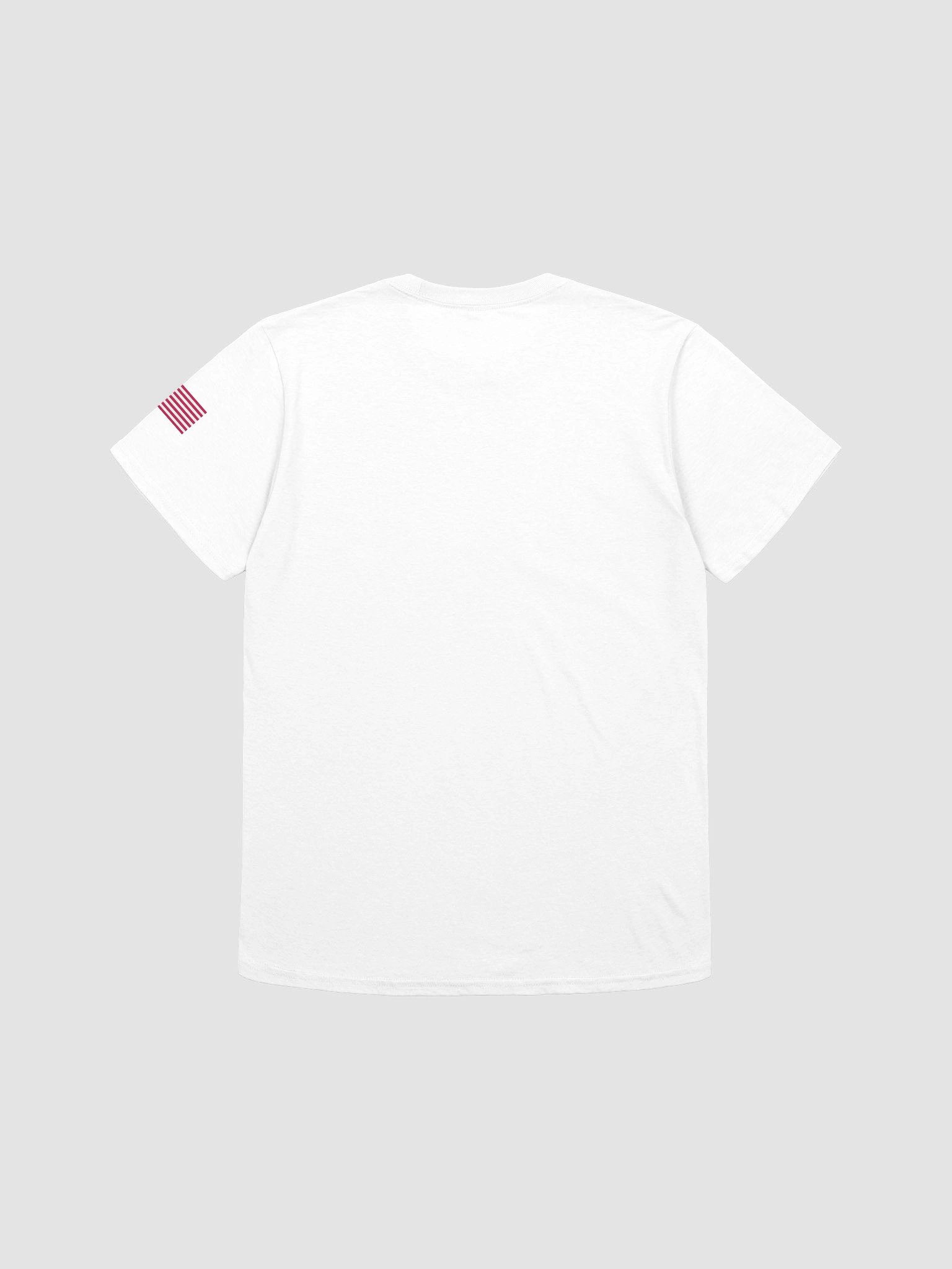 Dwillsprimetime Corporation T-shirt product image (112)