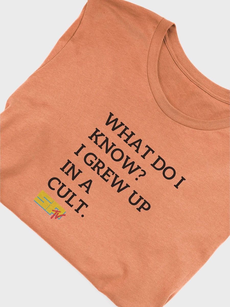 What Do I Know? Left. B on W. Bella Super Soft T-Shirt product image (54)