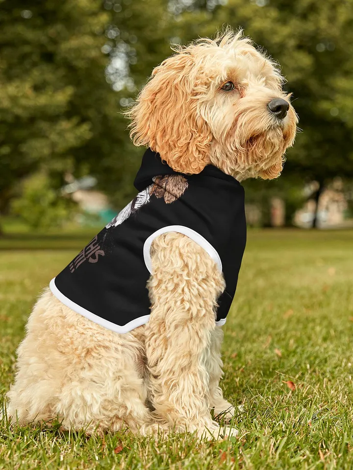 PAPASITOS PAWS OWN PARTY HOODIE product image (2)