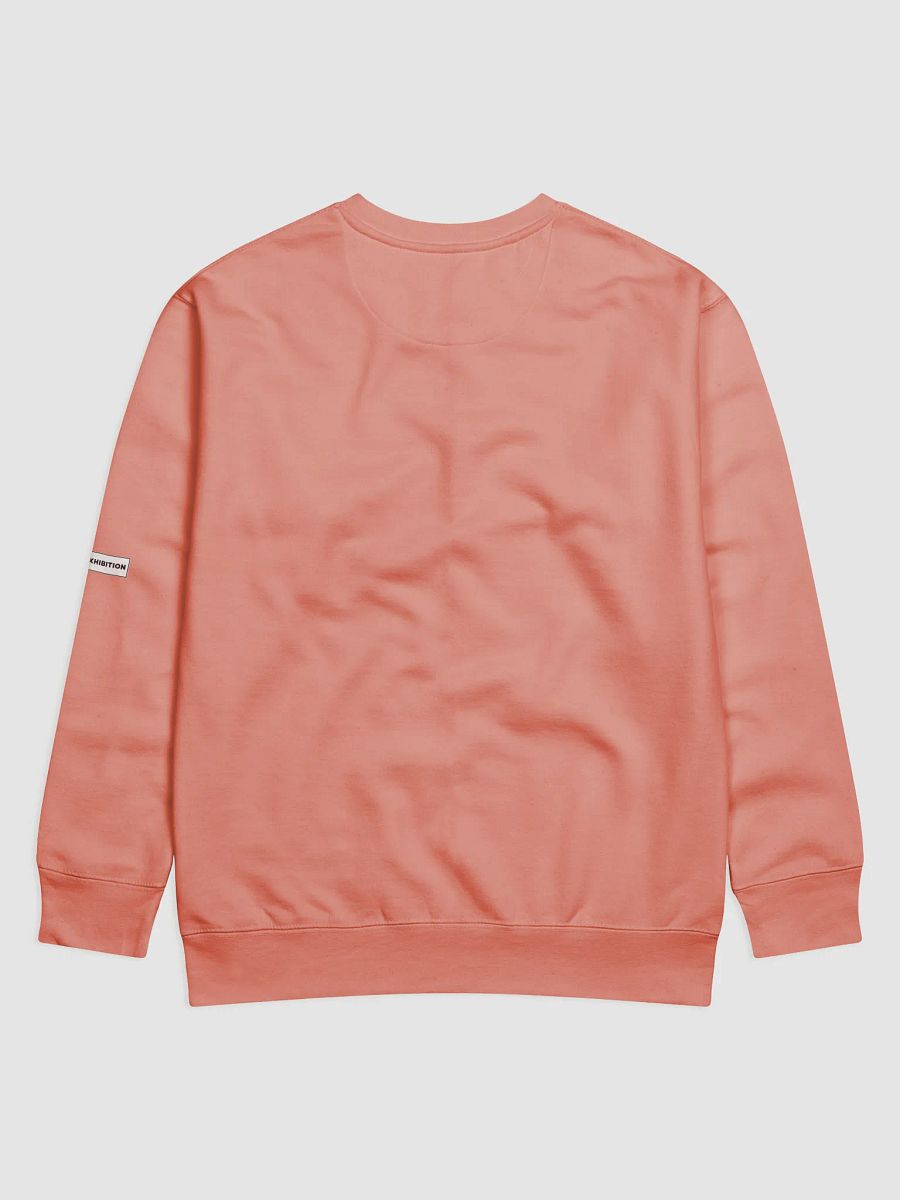 "AI ART EXHIBITION BOX LOGO" premium cotton sweatshirt product image (2)