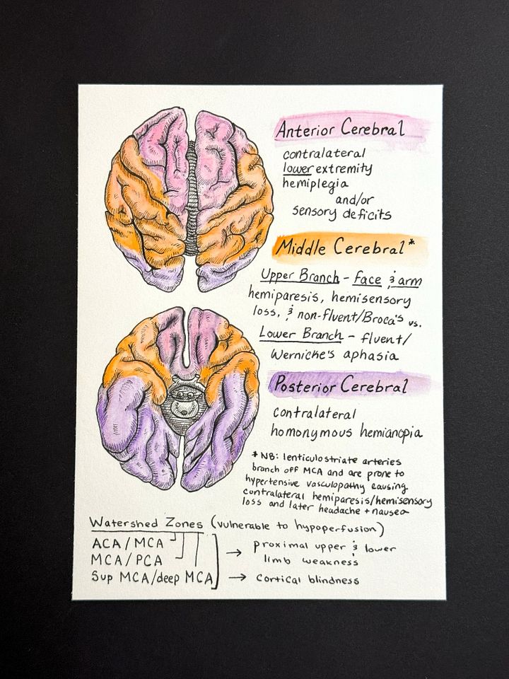 [Original] Stroke by Location product image (1)