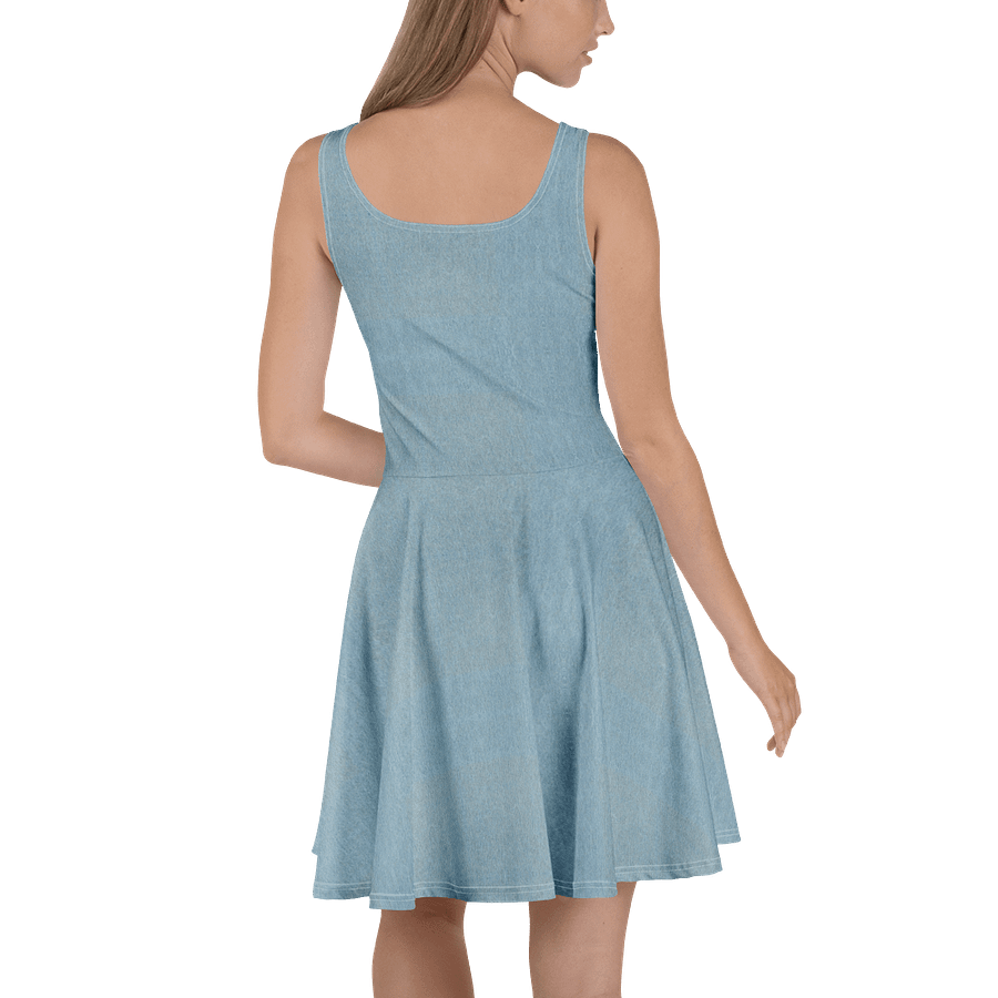 Denim Horizon Skater Dress product image (4)