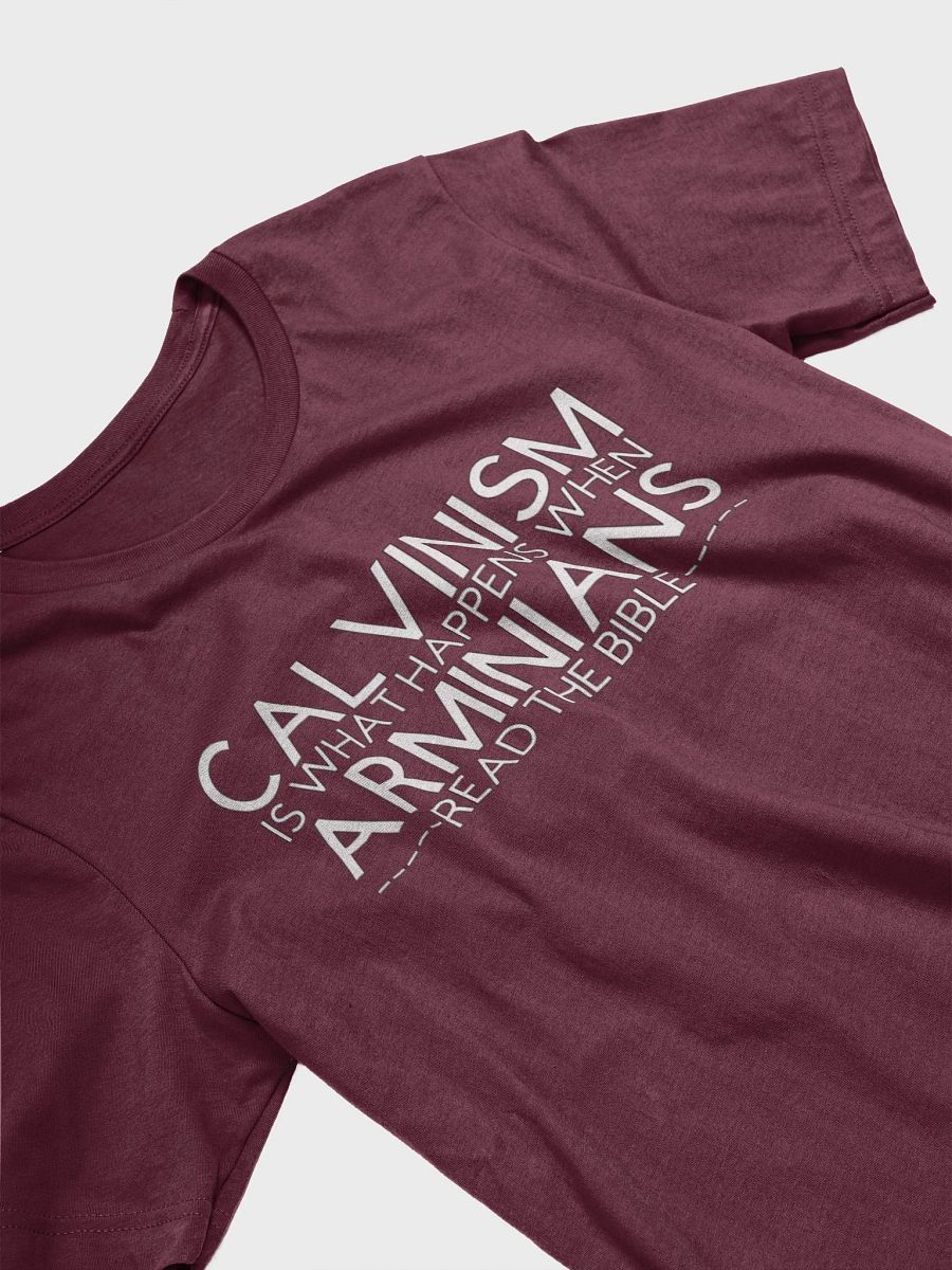 Calvinism T-shirt product image (3)