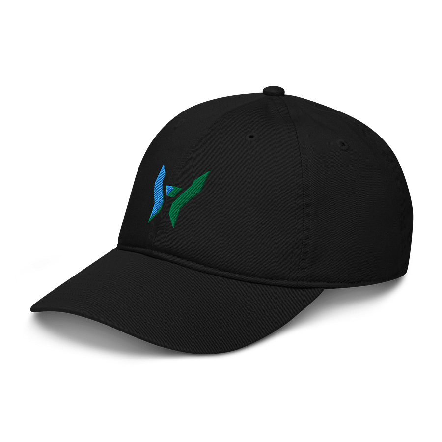 Emblem blend dad hat product image (2)