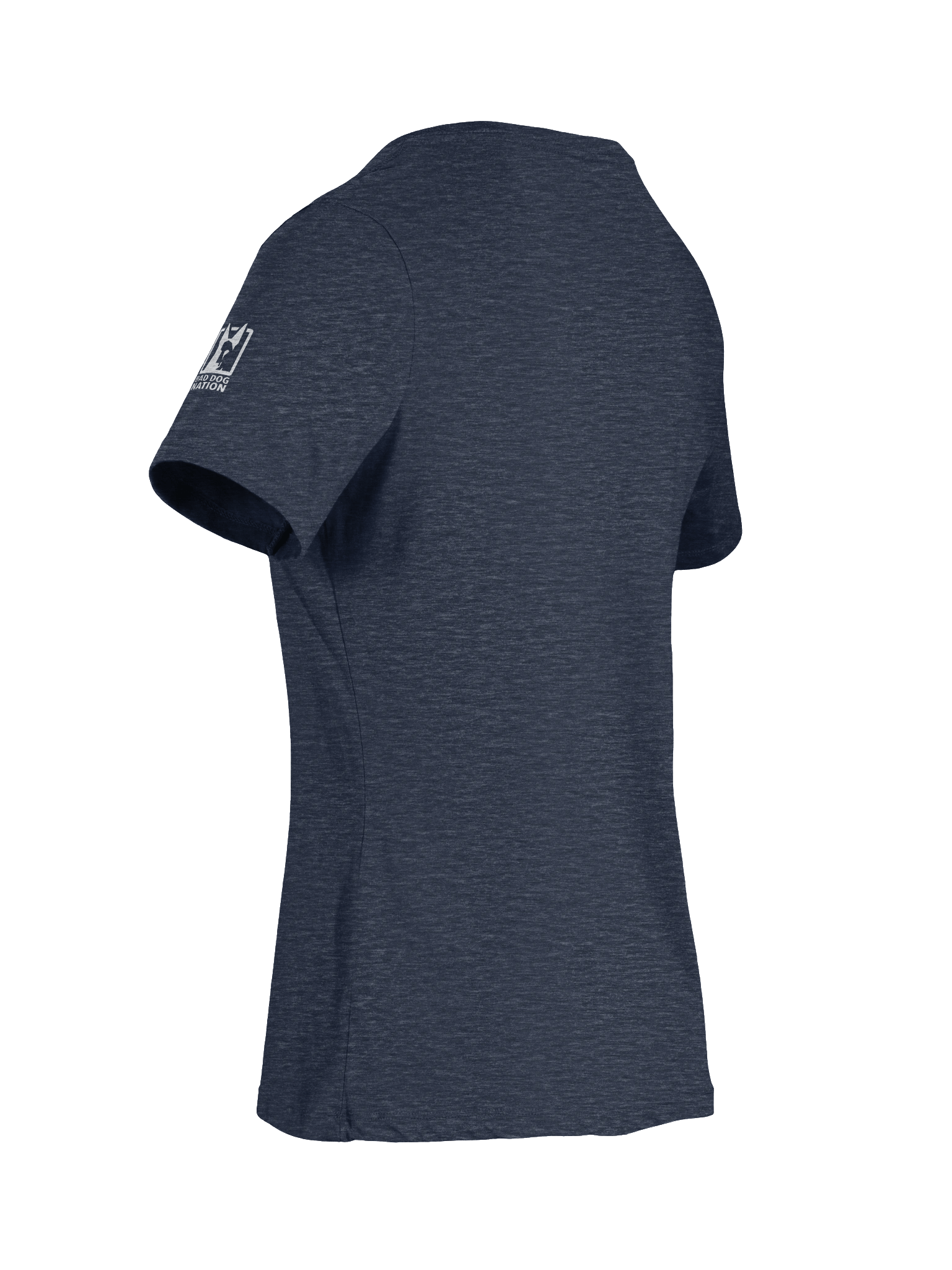 Good and Evil Doberman - Ladies V-Neck Tee product image (14)