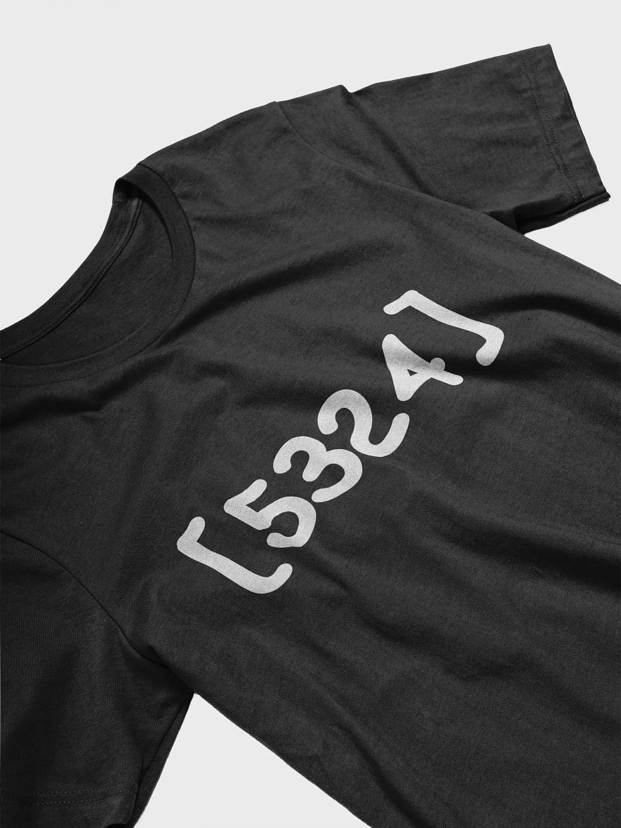 5324 - T-Shirt product image (13)