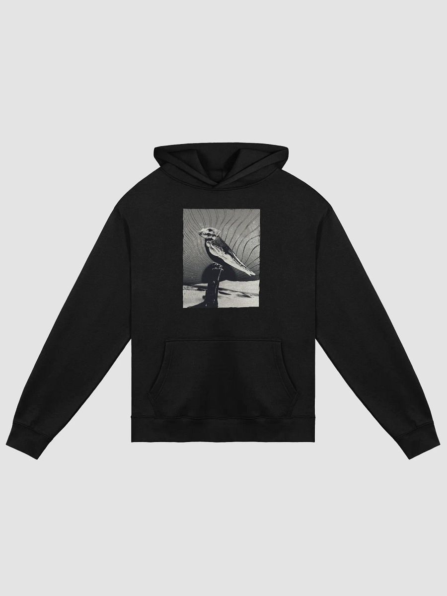 A Dawn to Fear Hoodie product image (2)