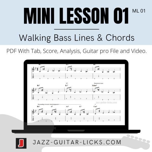 Mini Guitar Lessons