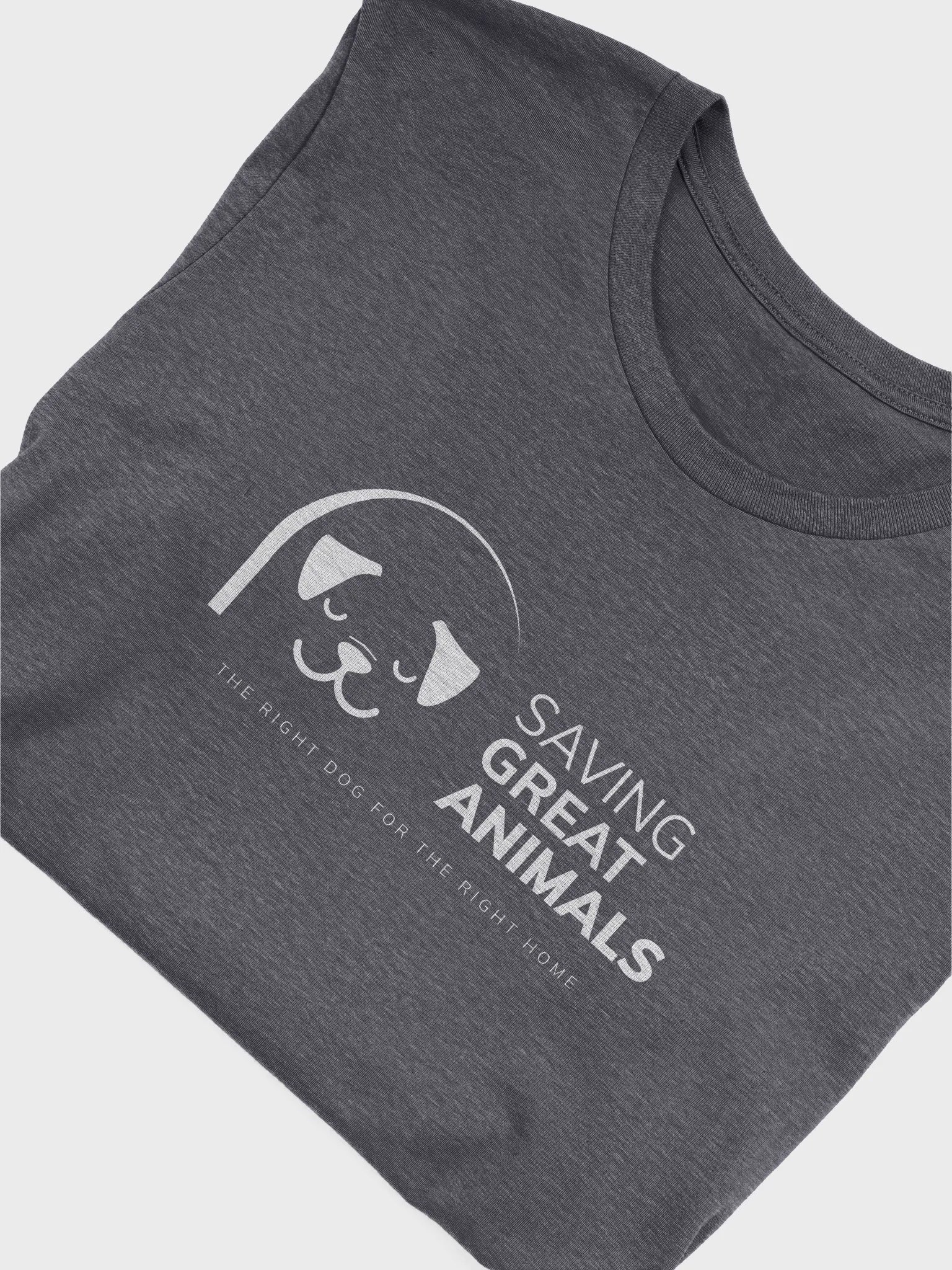 SGA T-Shirt - Grey product image (5)