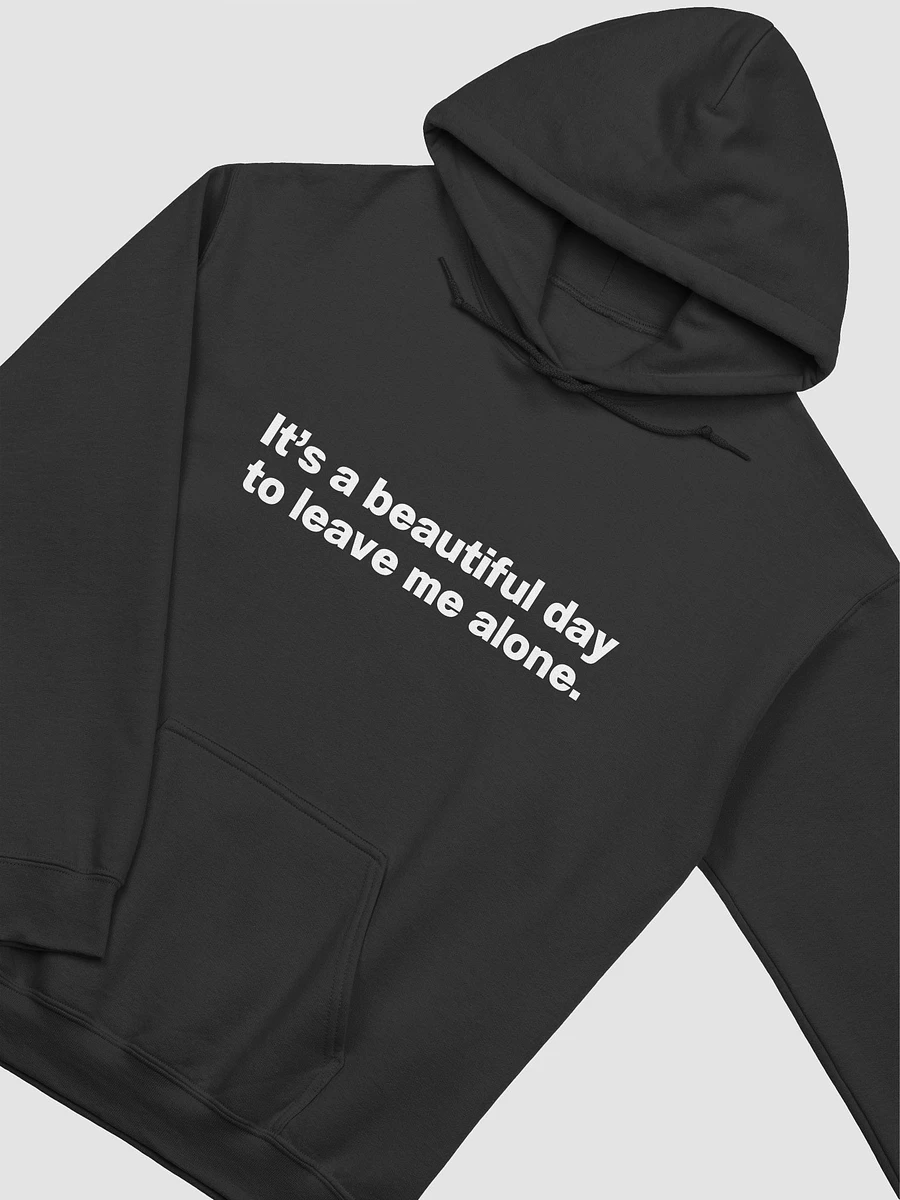 It's a beautiful day to leave me alone. Hoodie product image (14)