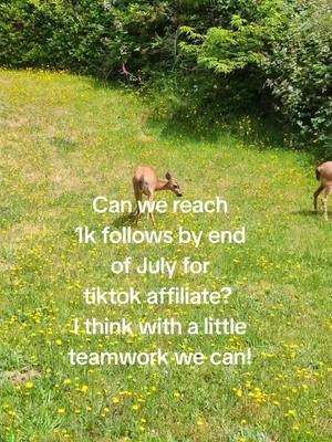 With teamwork anything is possible! Help me get into the tiktok affiliate program! #tiktokaffiliateprogram #teamwork #support 