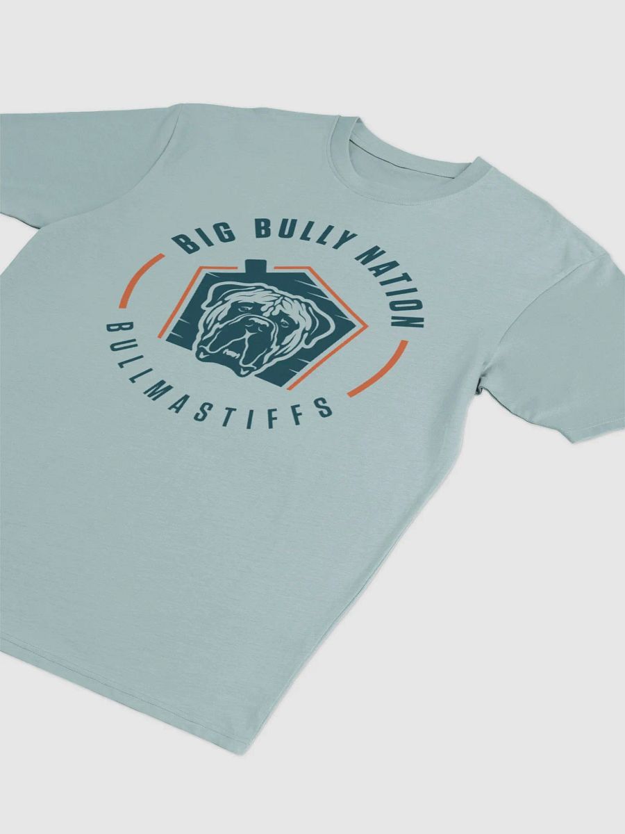 BBN Logo 2 Men's Tee product image (17)