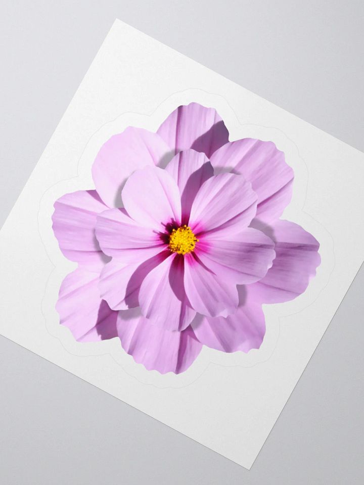 Realistic Pink Blossom Sticker product image (5)
