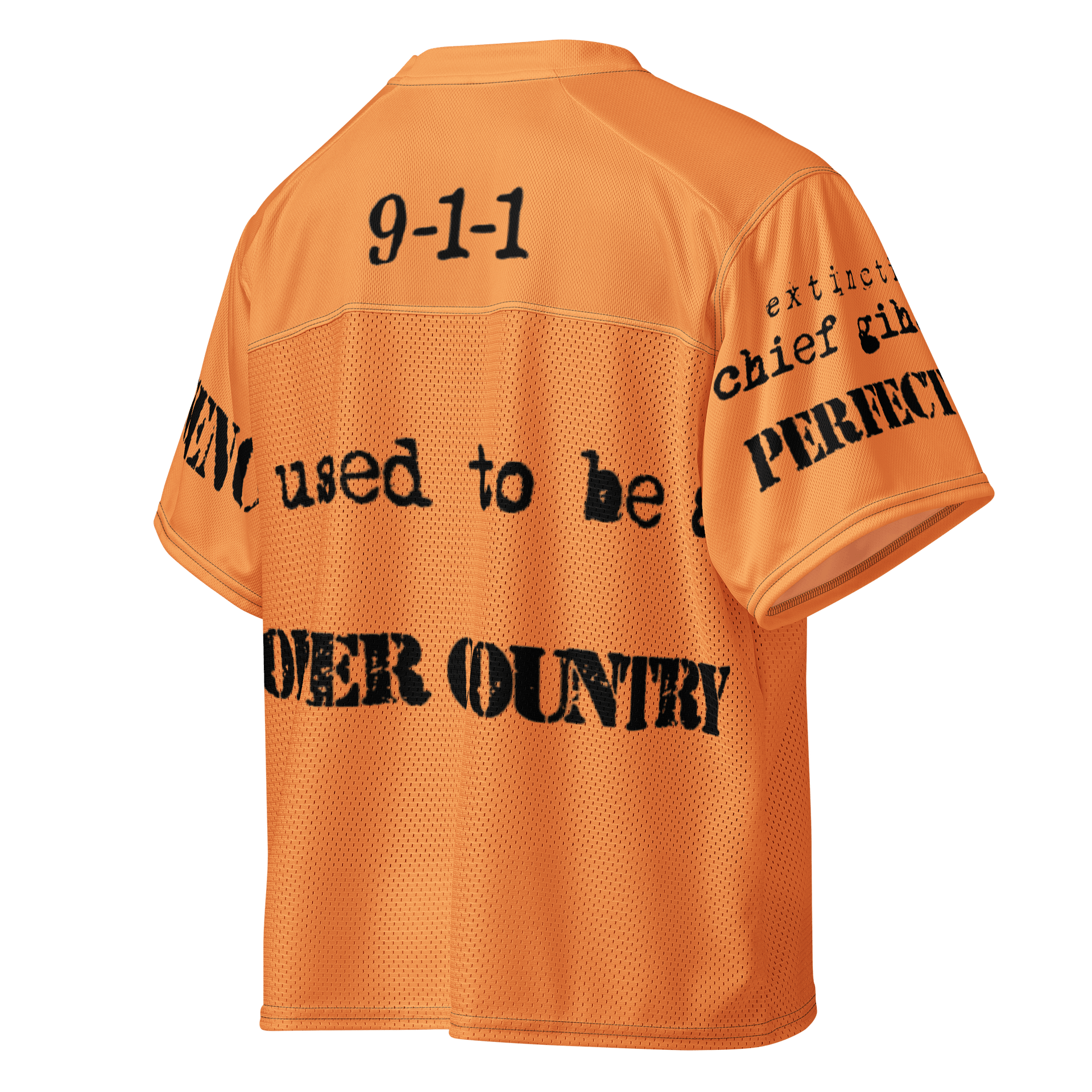 save the hooters girls we used to be a proper country product image (4)