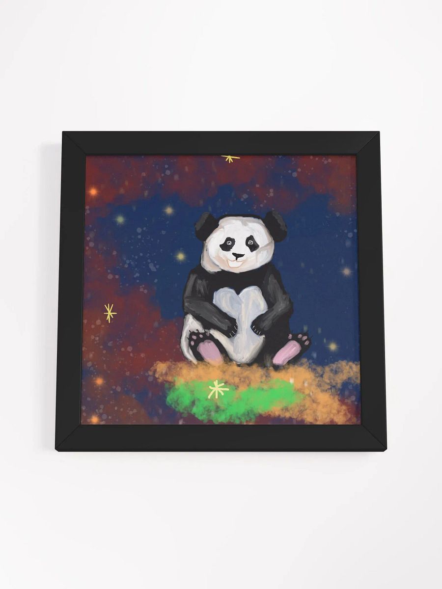 Panda Bear Galaxy product image (20)