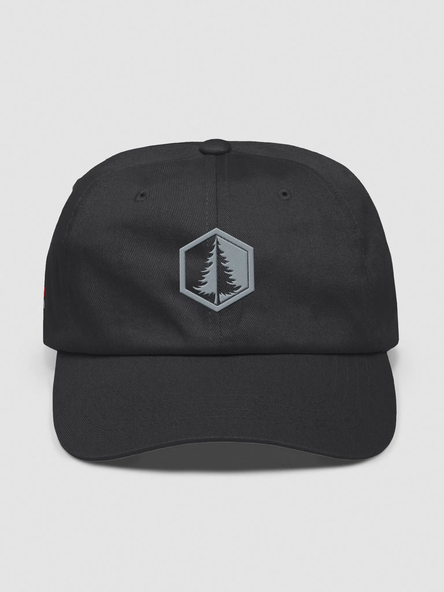 Dad Hat (Grey Logo) product image (1)