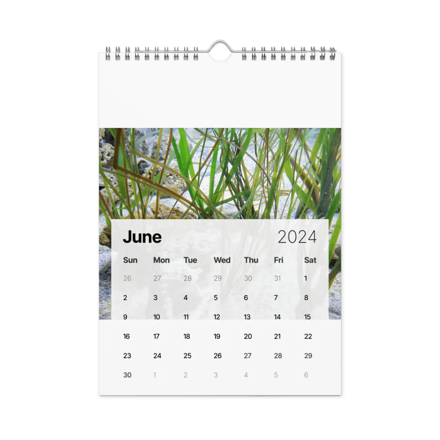 new years product image (23)