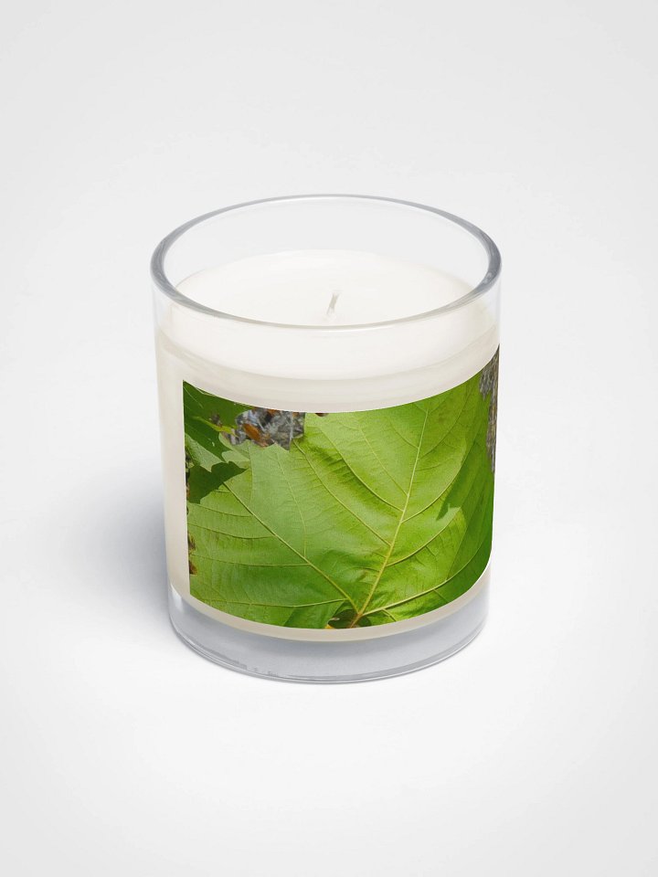 Veins of Nature Soy Candle product image (2)