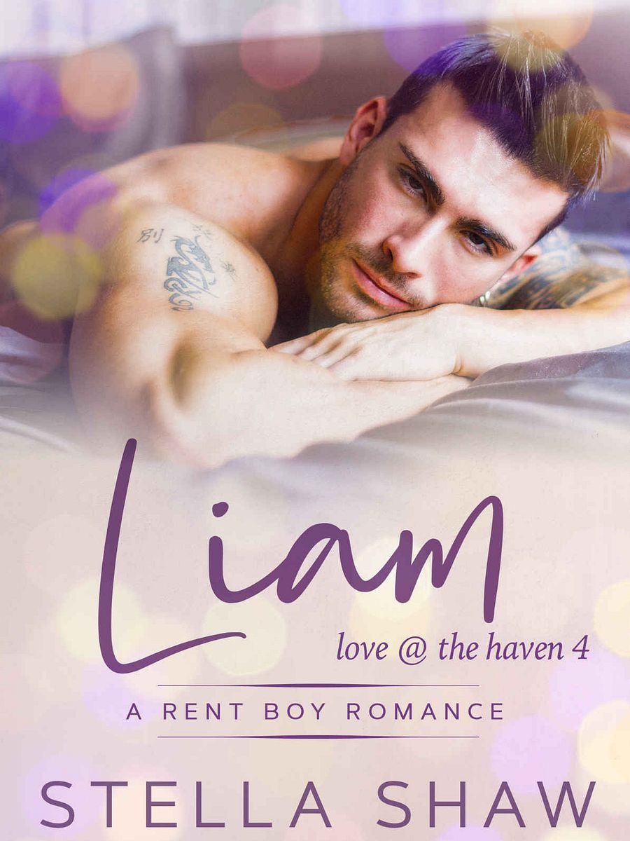 Love at the Haven - FULL SERIES product image (5)