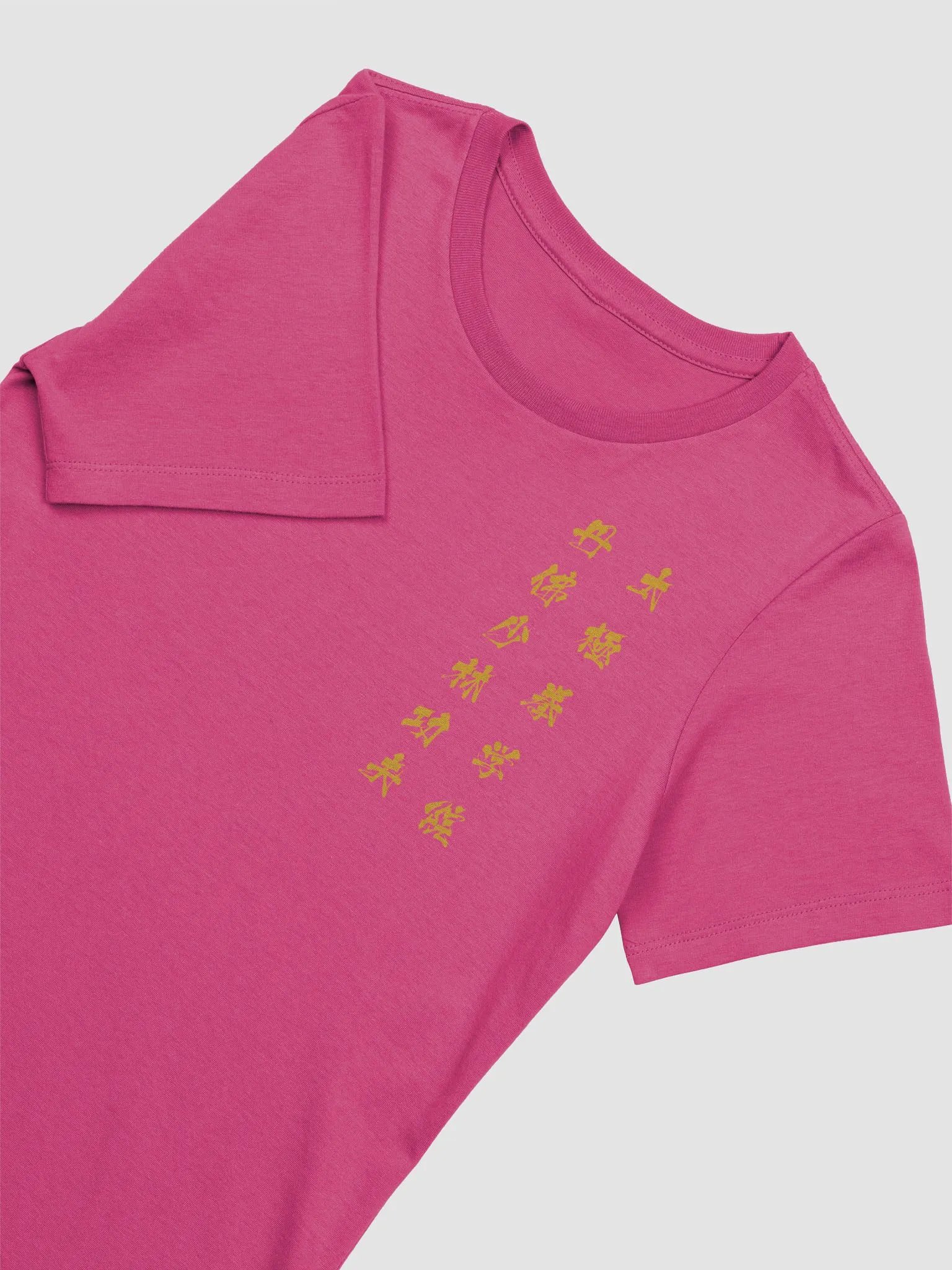 DSTJI Ladies Tee product image (12)