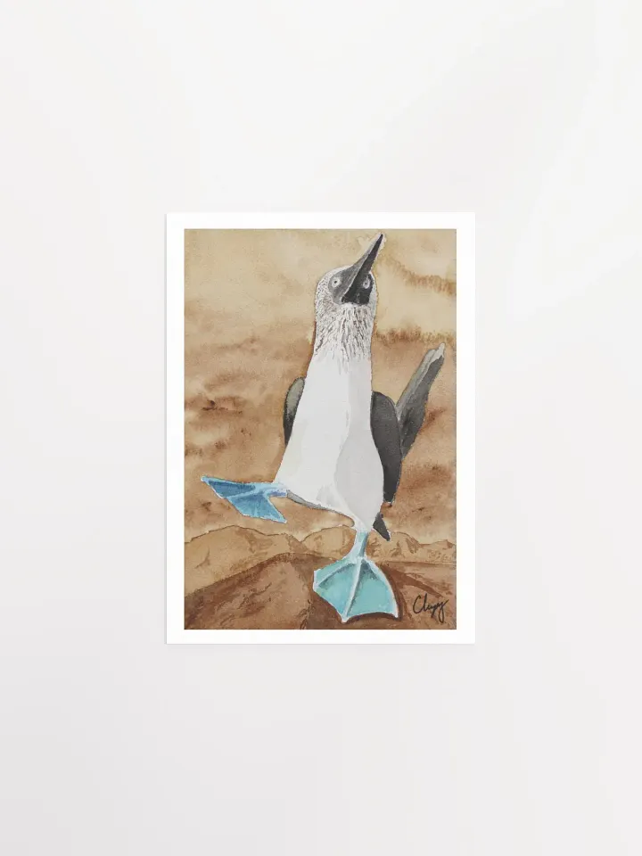 Blue Footed Booby Print product image (1)