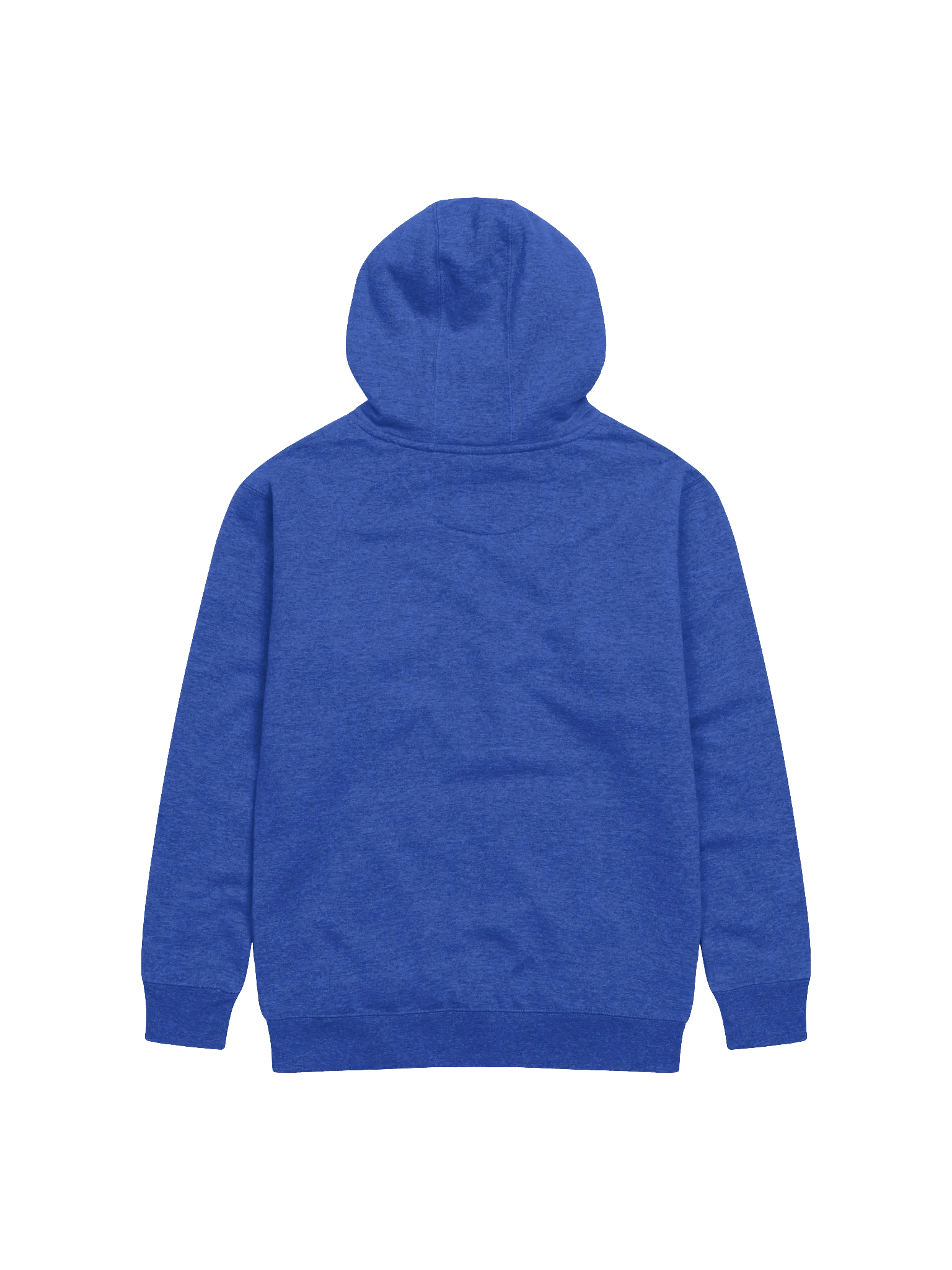 Black-Backed Gulls unisex hoodie product image (11)