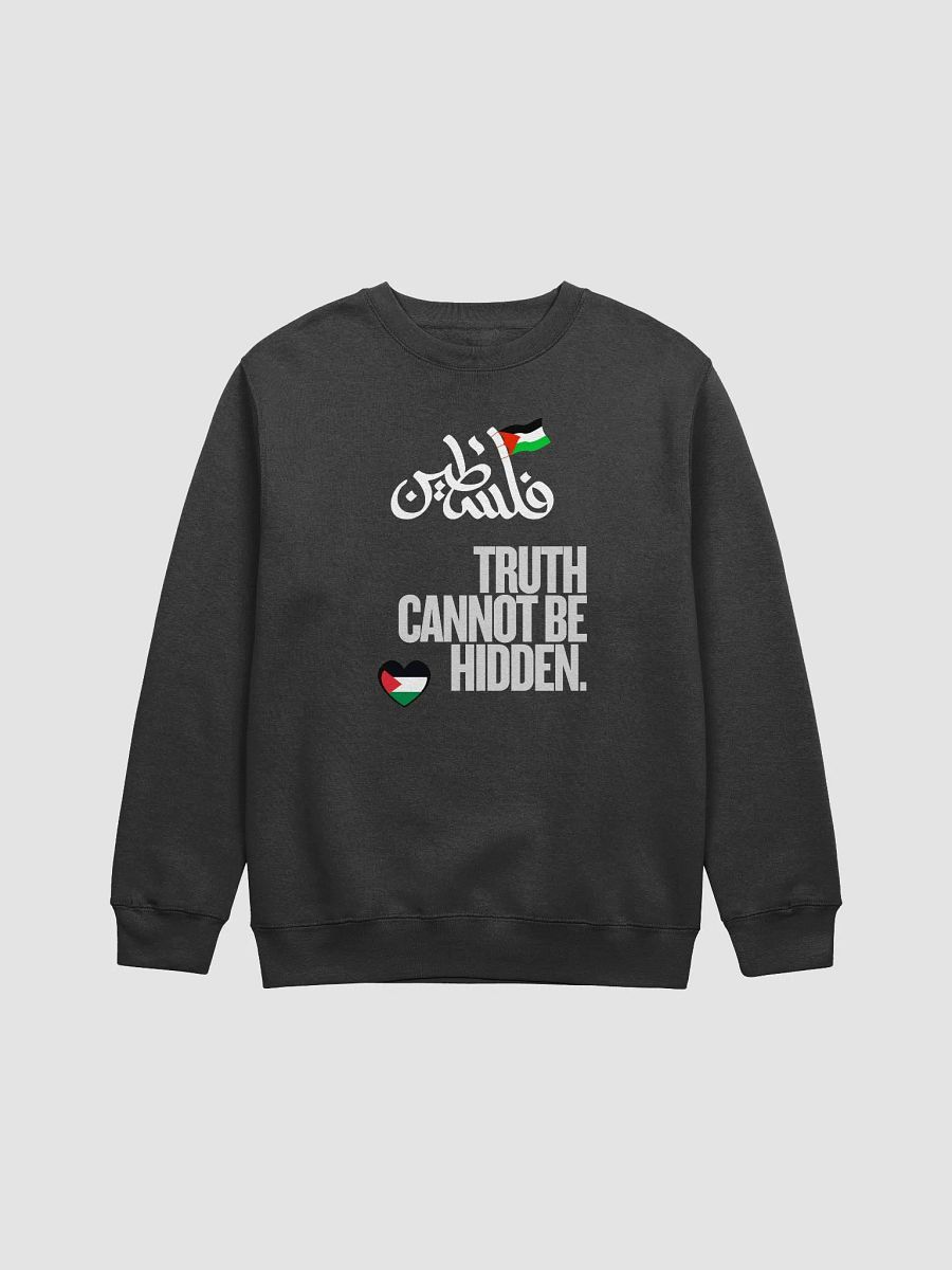 Palestinian Truth Premium Sweatshirt | Truth cannot be hidden product image (2)