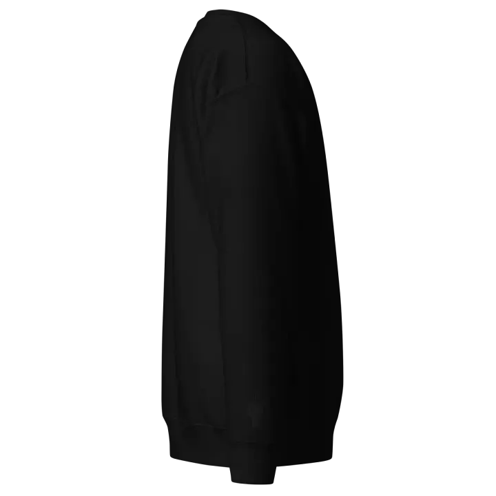Black on Black Embroidered Sweatshirt product image (2)