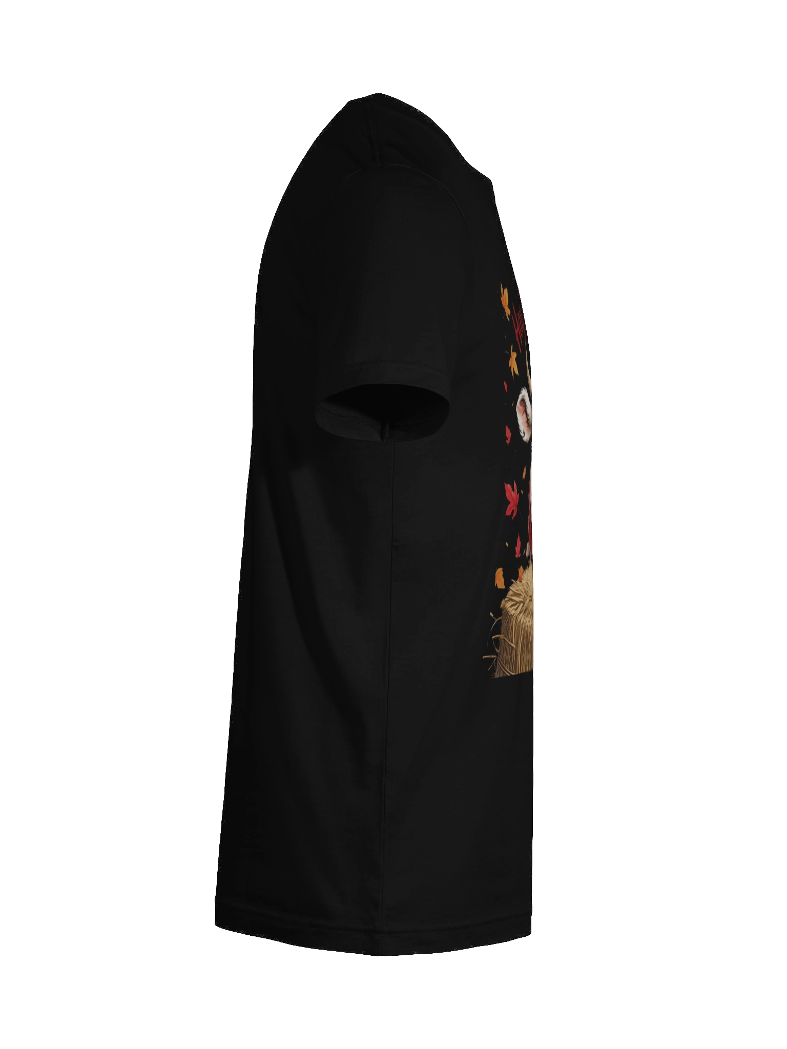 Hay There, It's Fall!!! Women T-Shirt product image (12)