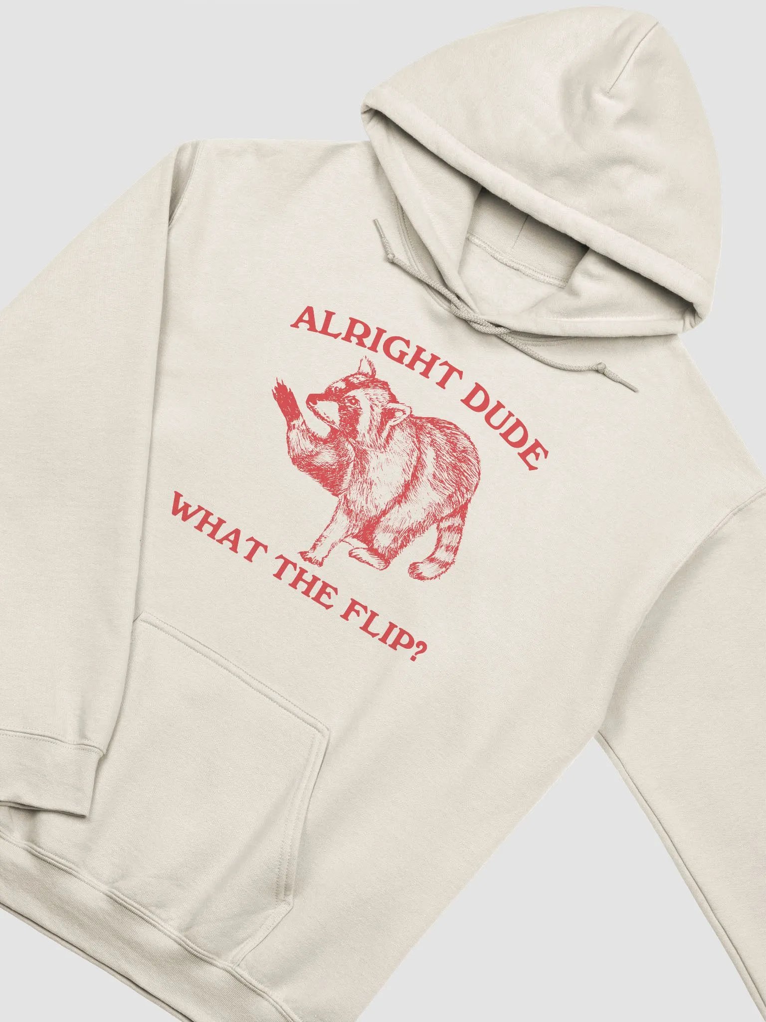 Alright dude what the flip Hoodie product image (3)