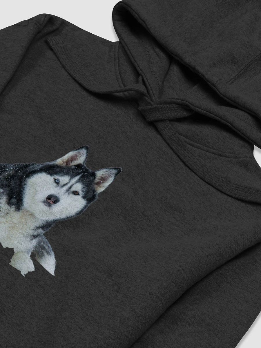 Majestic Siberian Husky with two different colored eyes in the snow. product image (3)