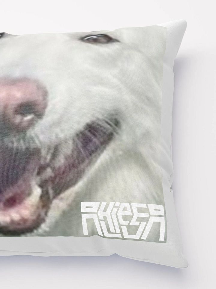 Dallas HEYYOUGUYS Pillow product image (2)