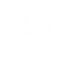 vinnyinthelab