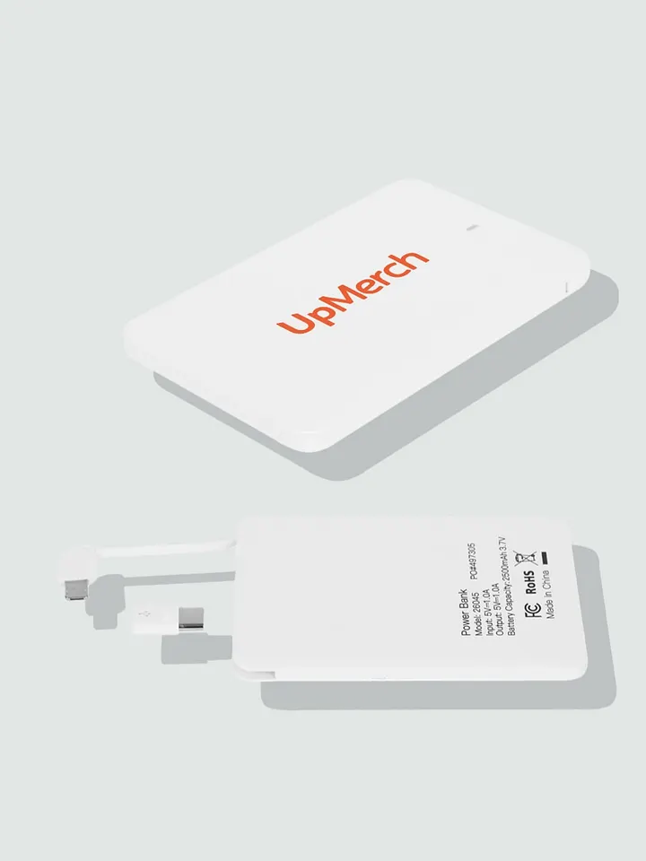 3-in-1 Power Bank product image (1)